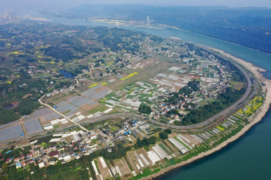 China constrói mais de 5,59 milh?es de hectares de terra cultivável de alto padr?o em 2020