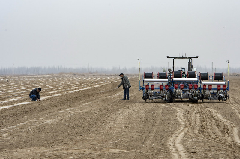 Xinjiang inicia semeadura de algod?o da primavera