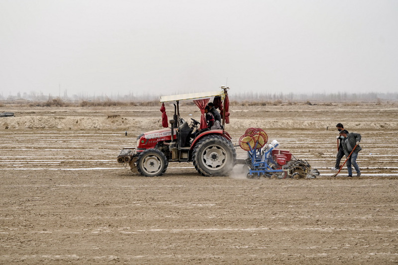 Xinjiang inicia semeadura de algod?o da primavera