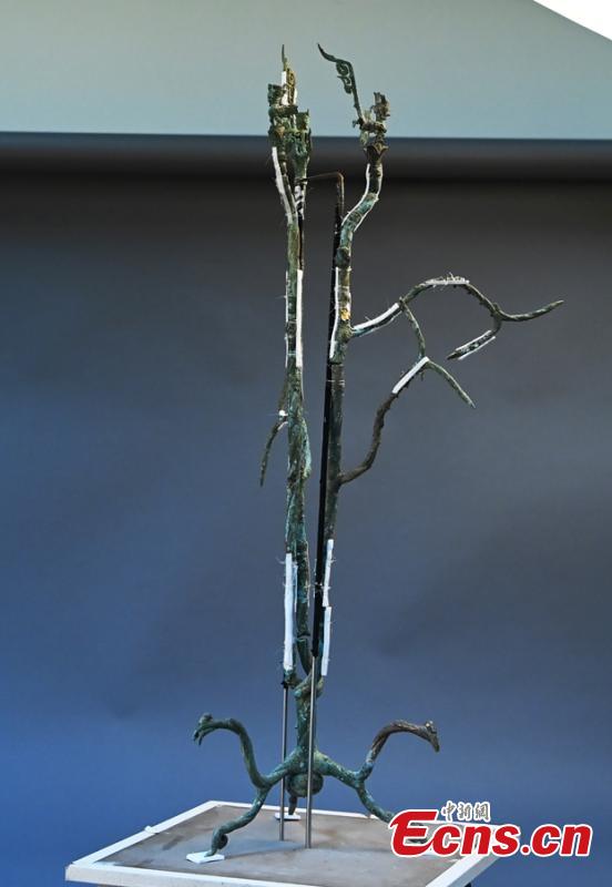 Restaura??o da árvore sagrada de bronze escavada nas Ruínas de Sanxingdui é basicamente concluída