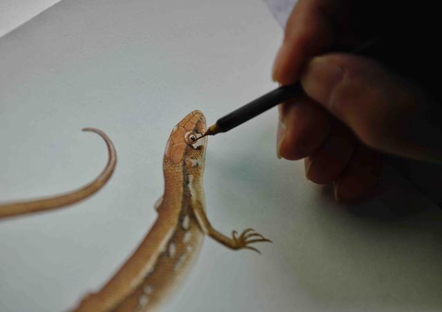 Pintor de instituto de pesquisa faz desenhos extremamente realistas há 43 anos