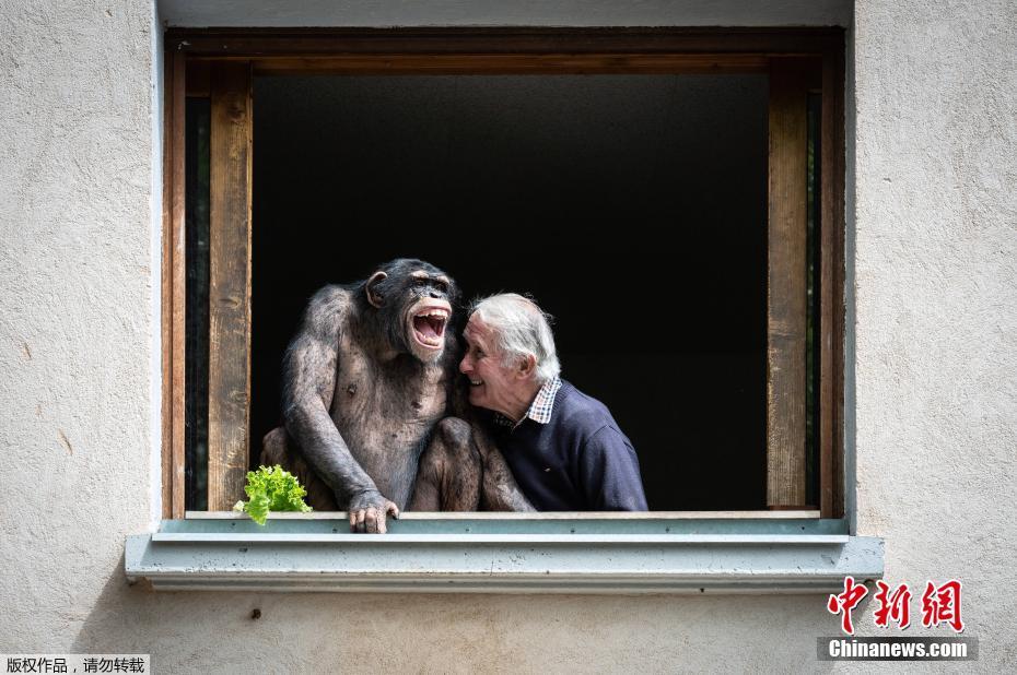 Jardim zoológico da Fran?a será reaberto