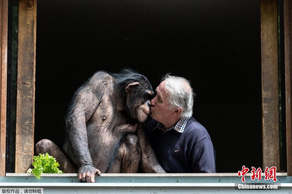 Jardim zoológico da Fran?a será reaberto