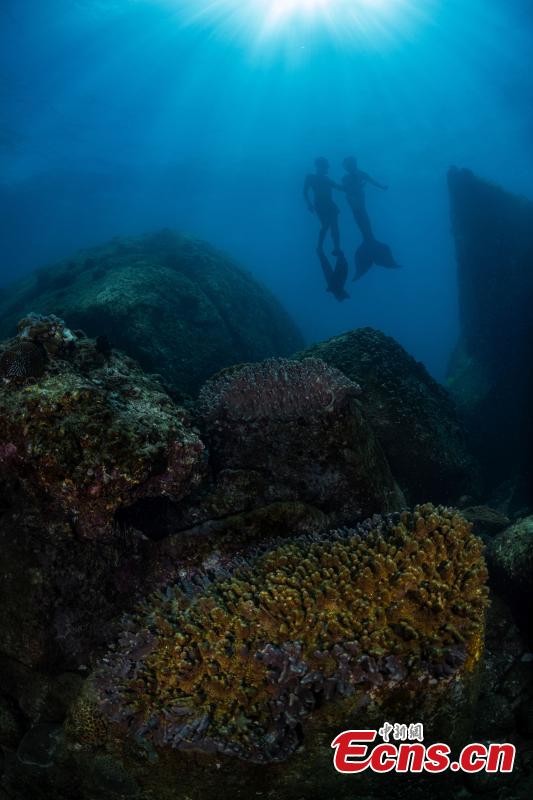 Mundo oceanico é revelado por fotógrafos subaquáticos em Hainan