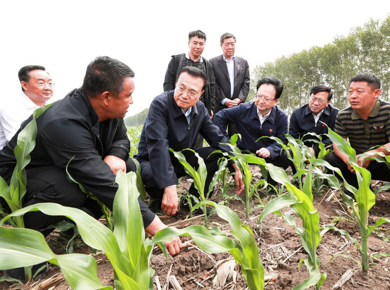 Primeiro-ministro chinês destaca novos avan?os na revitaliza??o do nordeste da China