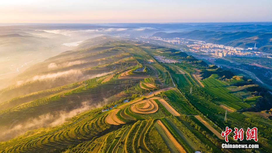 Galeria: bela paisagem dos campos em Ningxia