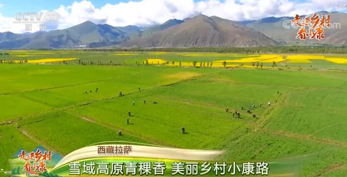 “Xiaokang”: o sucesso da China socialista na melhoria da qualidade de vida das regi?es rurais