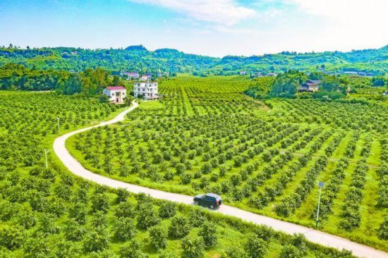 Guizhou: diversidade econ?mica melhora qualidade de vida das popula??es