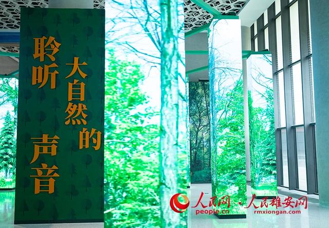 Novo parque na Nova área de Xiongan é aberto ao público