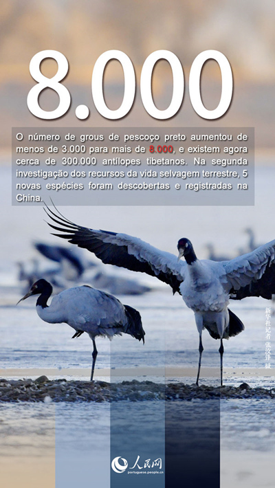 Tibete: retrospetiva de 70 anos após a liberta??o pacífica