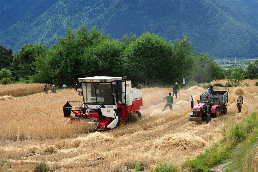 Galeria: mudan?as no dia-a-dia da popula??o do Tibete