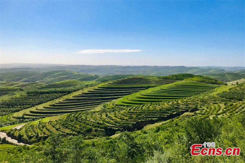 Ningxia: campos de terra?os formam paisagem espetacular no início de outono 