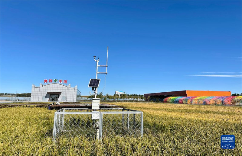 Xi expressa sauda??es antes do festival da colheita dos agricultores chineses