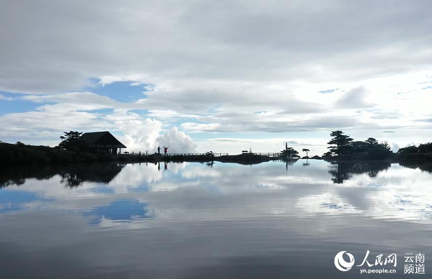 Yunnan estabelece banco de genes de Rhododendron lapponicum