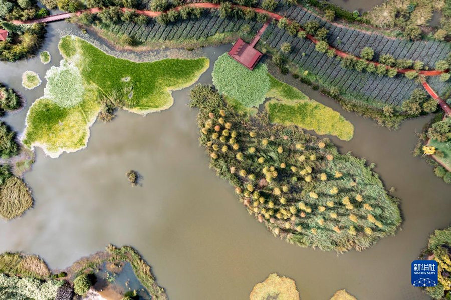 China: constru??o do Pantanal da Península de Baofeng em Kunming entra na fase final