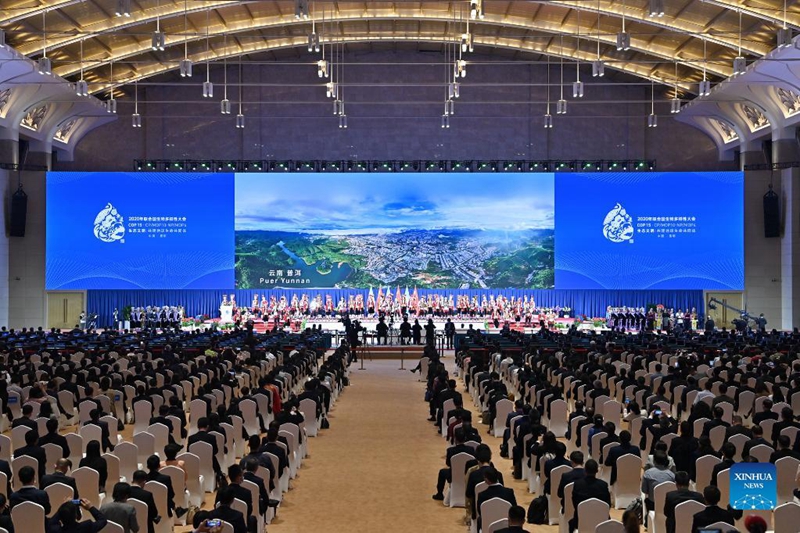 China: COP15 come?a em Kunming com civiliza??o ecológica em destaque