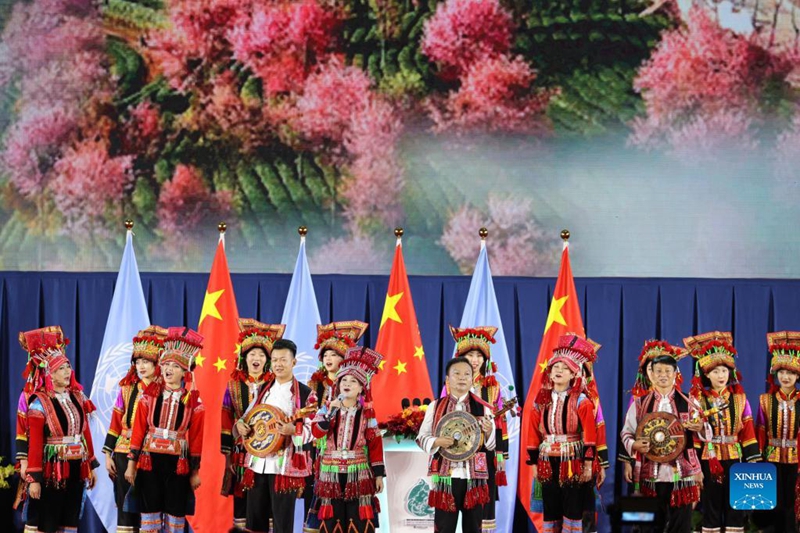 China: COP15 come?a em Kunming com civiliza??o ecológica em destaque