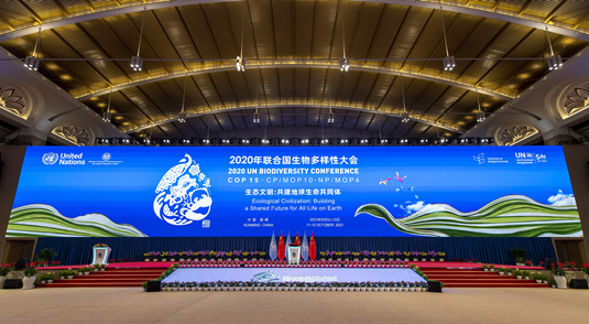 Xi destaca desenvolvimento da civiliza??o ecológica para harmonia humanidade-natureza