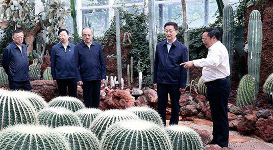 Vice-premiê chinês Han Zheng pede desenvolvimento verde e civiliza??o ecológica