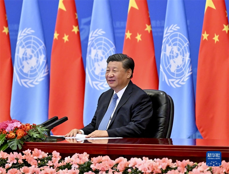 últimos 50 anos testemunham desenvolvimento pacífico da China e sua dedica??o ao bem-estar de toda humanidade, diz Xi