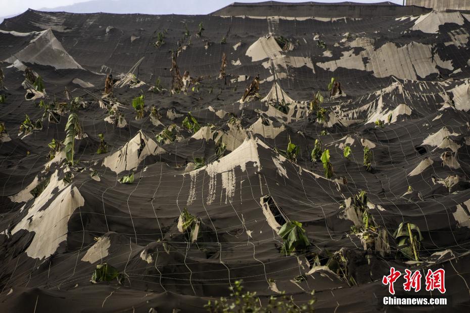Espanha: erup??o do vulc?o Cumbre Vieja deixa ilha de La Palma irreconhecível  