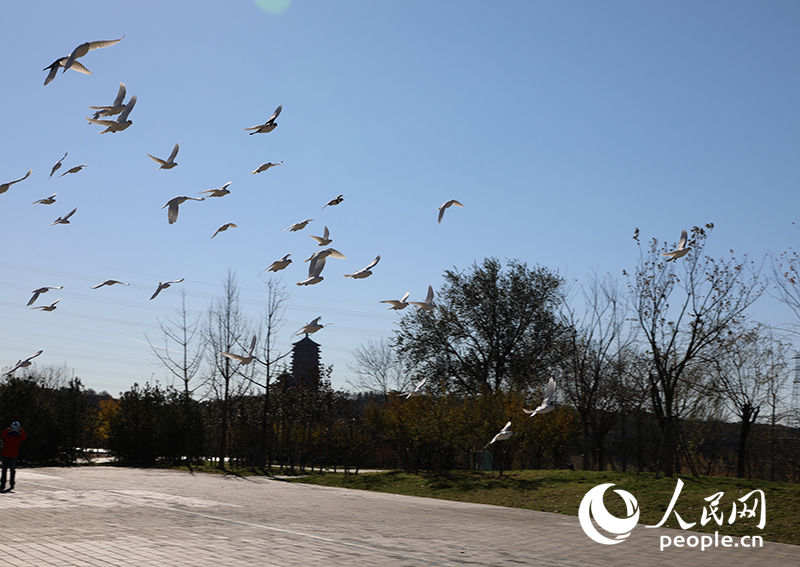 Galeria: Parque Olímpico de Inverno de Beijing