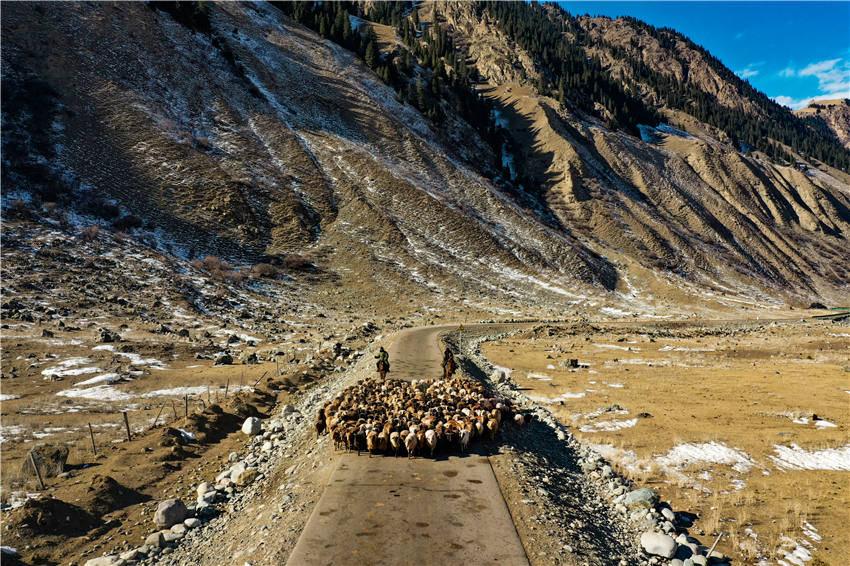 Zhaosu, Xinjiang: melhoria dos padr?es de vida facilita migra??es de pastores