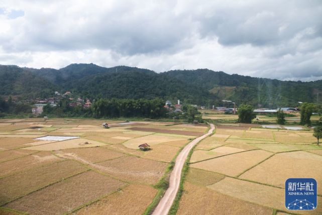 Ferrovia China-Laos iniciará opera??es nesta sexta-feira