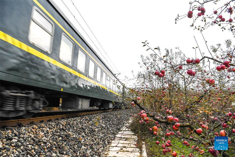 Trem lento traz conveniência para habitantes no sudoeste da China 