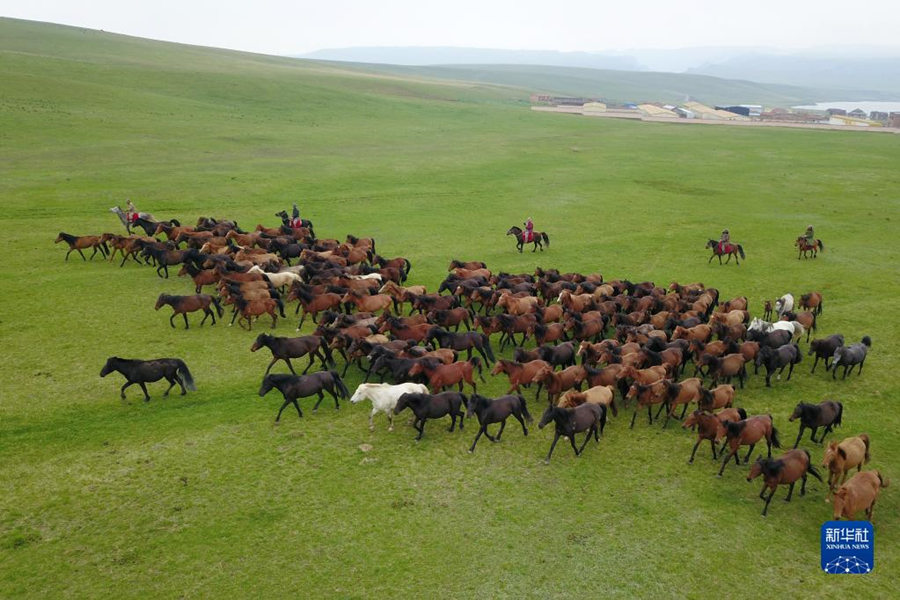 Gansu: esta??o ferroviária de Rancho de Cavalos Shandan entra em opera??o