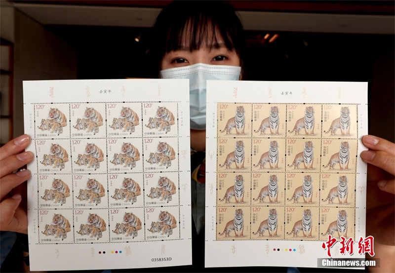 Selos especiais do ano chinês do tigre s?o oficialmente emitidos