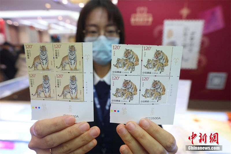 Selos especiais do ano chinês do tigre s?o oficialmente emitidos
