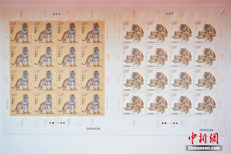 Selos especiais do ano chinês do tigre s?o oficialmente emitidos