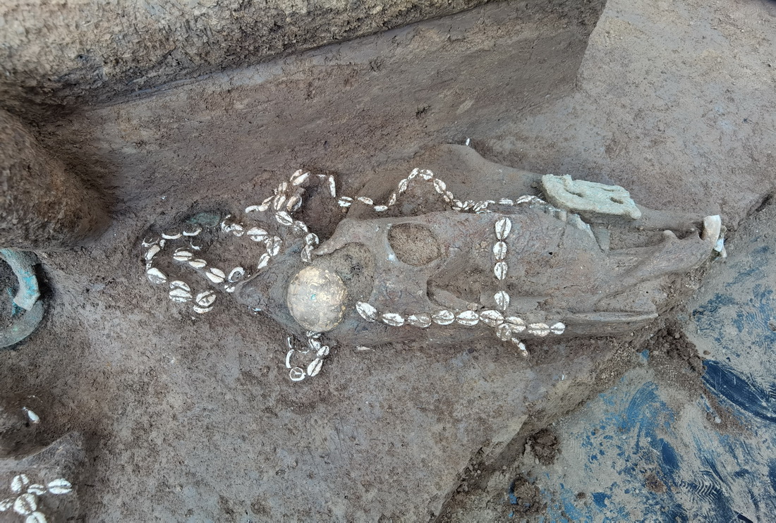 Cemitério de cl?s de 3.000 anos descoberto no centro da China