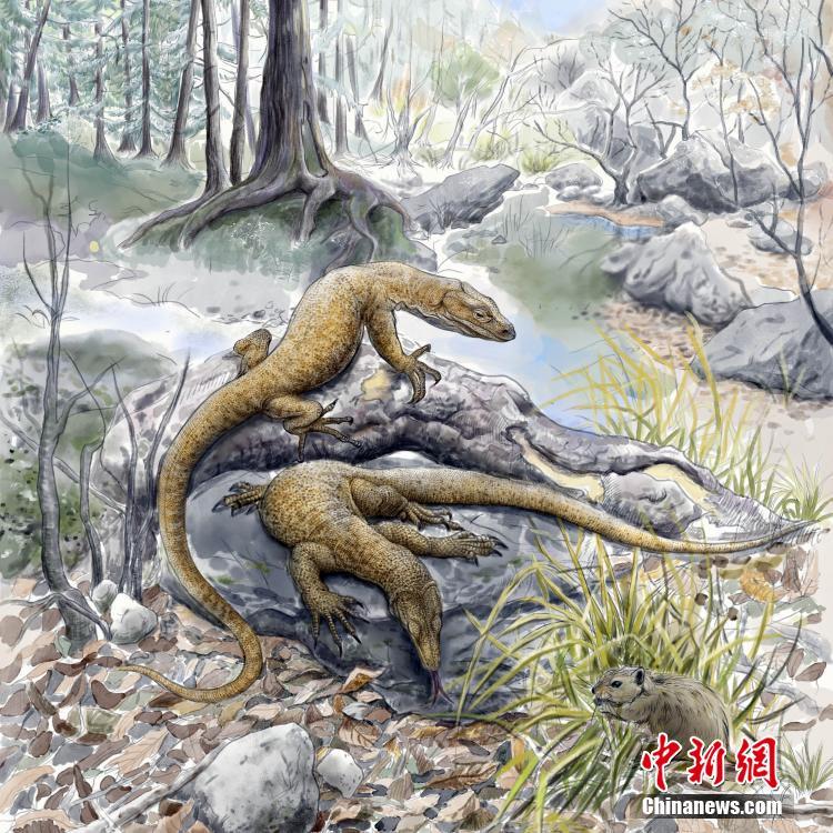 China: pesquisadores encontram fósseis de lagartos gigantes de 52 milh?es de anos