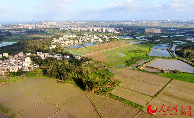 Haikou come?a trabalho de lavragem dos campos durante a primavera