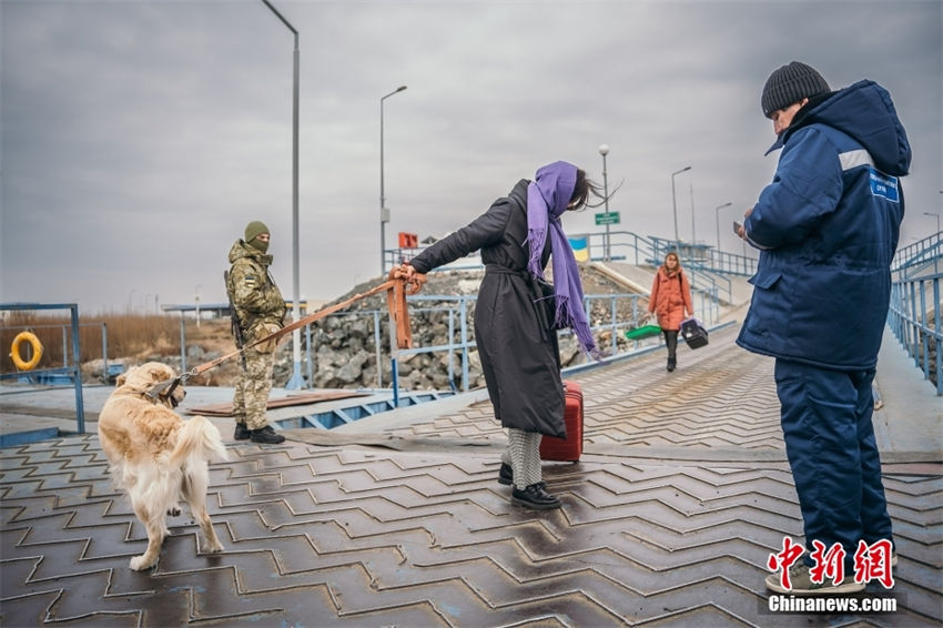 Ucrania: popula??es evacuam com seus animais de estima??o 