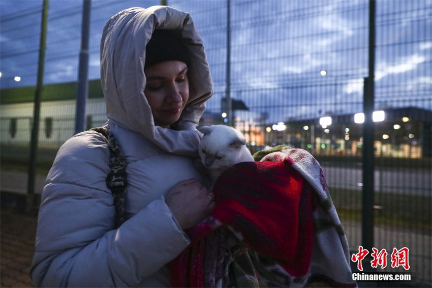 Ucrania: popula??es evacuam com seus animais de estima??o 