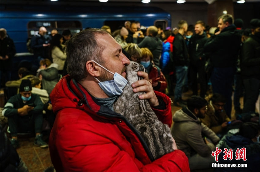 Ucrania: popula??es evacuam com seus animais de estima??o 