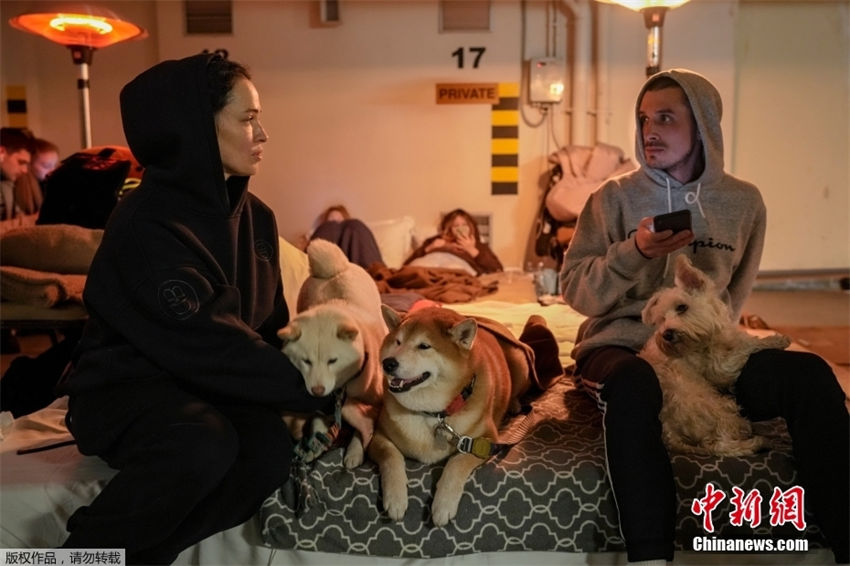 Ucrania: popula??es evacuam com seus animais de estima??o 