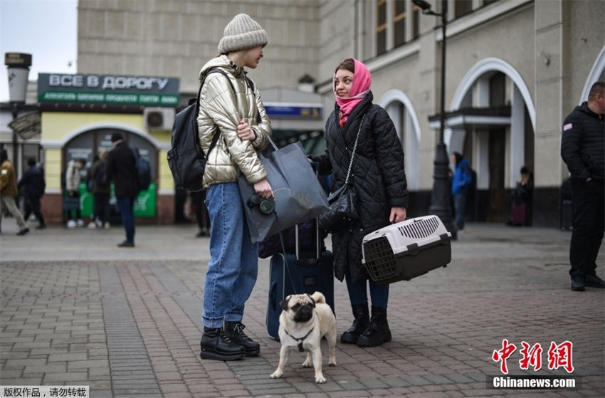 Ucrania: popula??es evacuam com seus animais de estima??o 