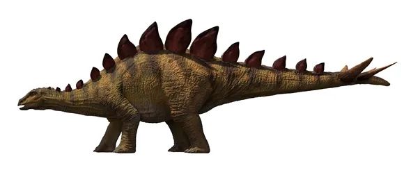 Descoberto fóssil de nova espécie de estegossauro de 169 milh?es de anos na China

