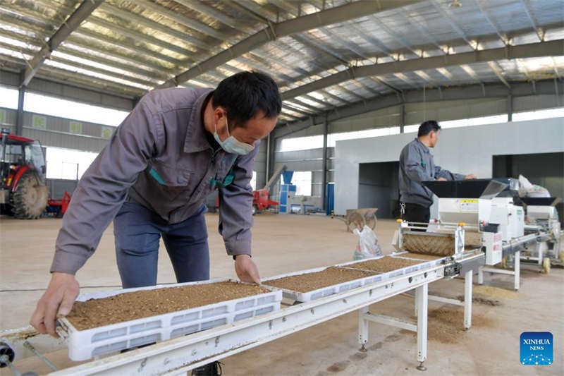 Programa de agricultura inteligente melhora a eficiência da produ??o agrícola em Jiangxi