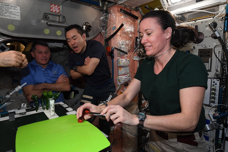 Experiência de planta??o de pimenta na Esta??o Espacial Internacional é um sucesso