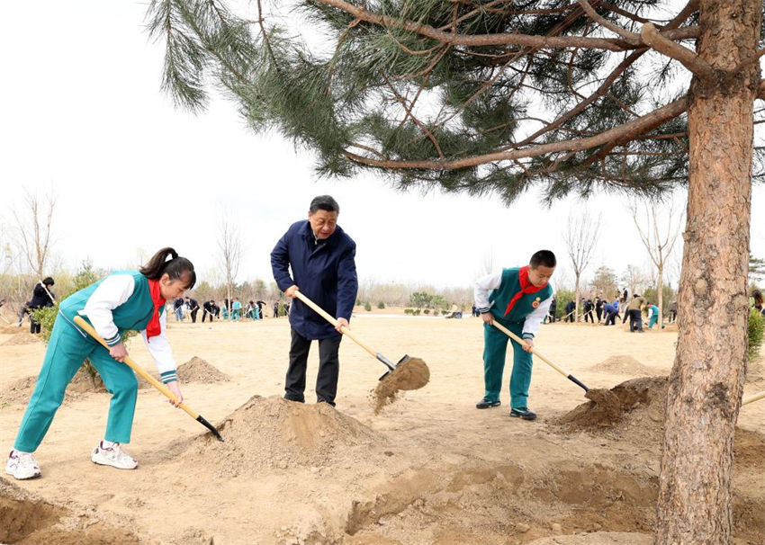 Xi Jinping planta árvores pelo 10o ano como o mais alto líder