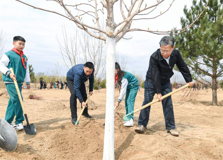 Xi Jinping planta árvores pelo 10o ano como o mais alto líder