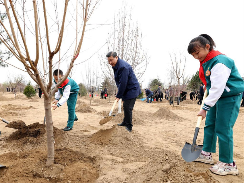 Xi Jinping planta árvores pelo 10o ano como o mais alto líder