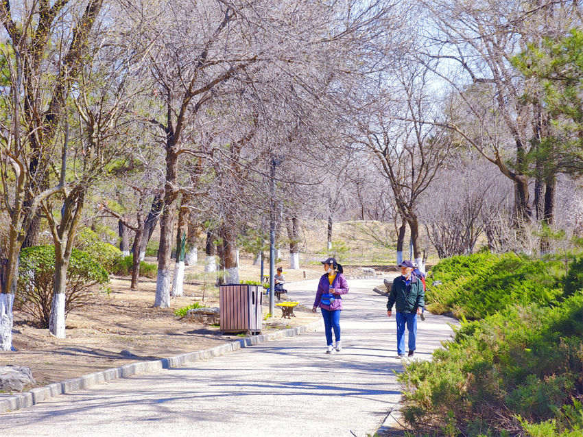 Parques de Beijing recebem cerca de 5 milh?es de visitantes durante Festival de Qingming