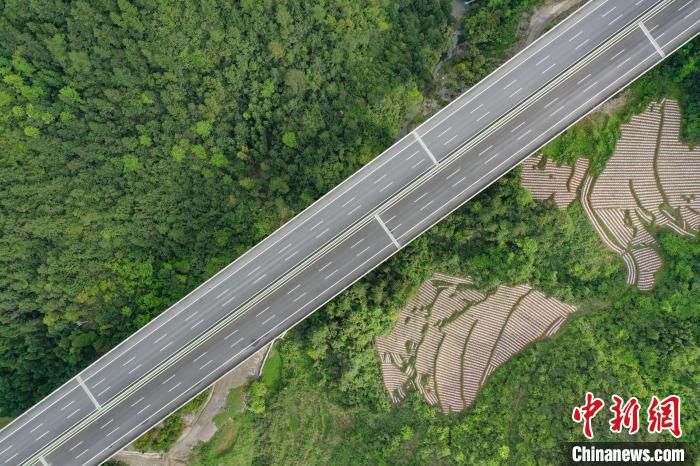 Fotografia aérea do trecho de expans?o da Rodovia Nacional de Lanhai
