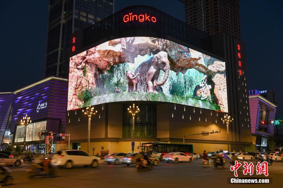 Kunming exibe “elefante asiático” no ecr? de tecnologia 3D
